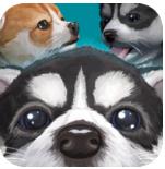 可爱的口袋小狗3D Cute Pocket Puppy 3D Part 2 v1.0.8.4
