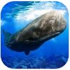 抹香鲸模拟器 v1.0.1